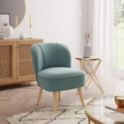Elsie Velvet Cocktail Chair -Online Furniture Store 30752127