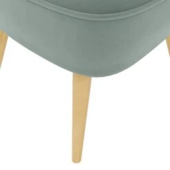 Elsie Velvet Cocktail Chair -Online Furniture Store 30752127 alt05