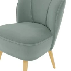 Elsie Velvet Cocktail Chair -Online Furniture Store 30752127 alt06
