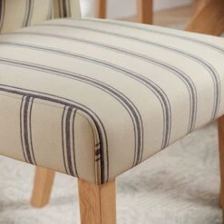 Oswald Set Of 2 Dining Chairs, Folkstone Blue Stripe -Online Furniture Store 30872515 alt03