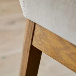 Delilah Dining Chair, Velvet -Online Furniture Store 30891297 alt03